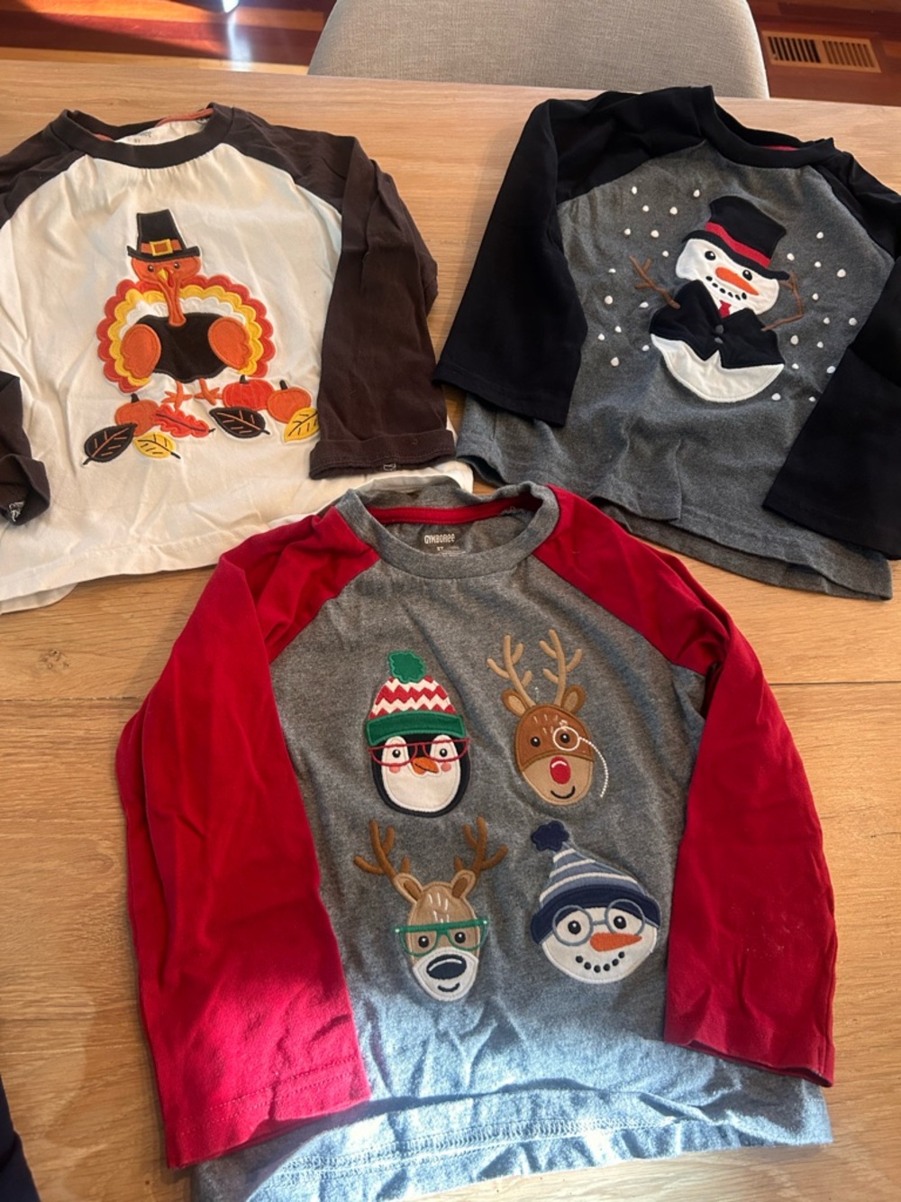 Gymboree Kids Holiday Raglan Tops - Red, Gray, Black, Brown embroidered